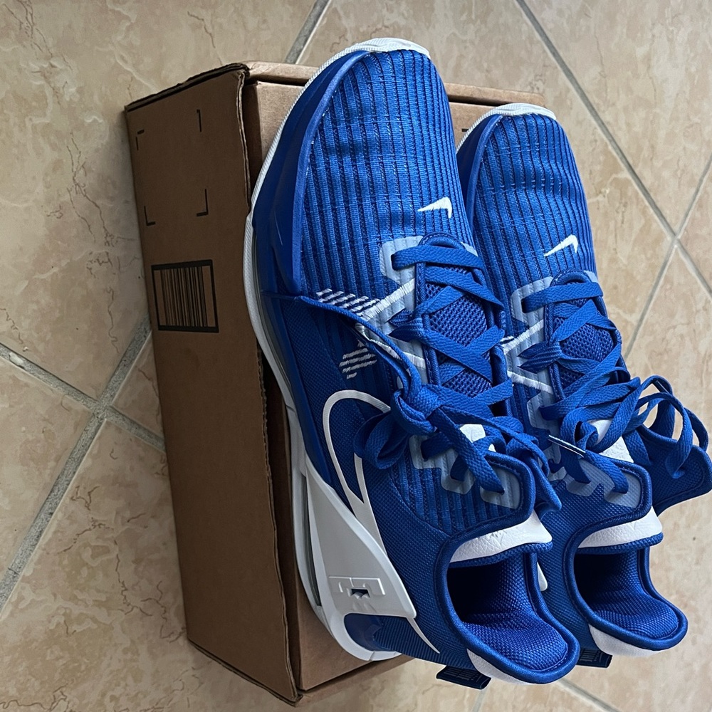 Nike mens Lebron Witness 6 BLUE NEW